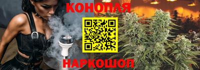 шишки Можайск
