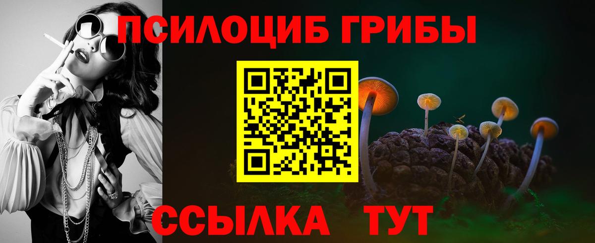Долгопрудный  Галлюциногенные грибы Psilocybe  Вход с VPN 